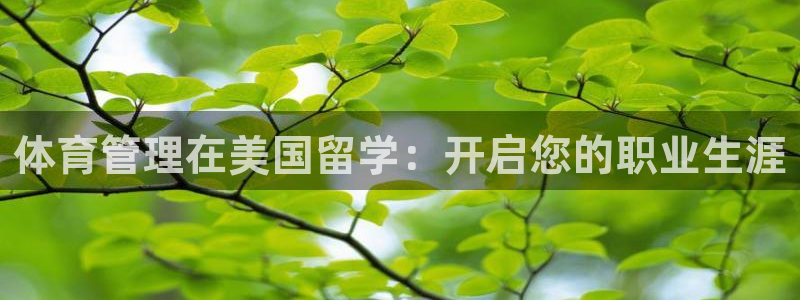 必一体育sport官