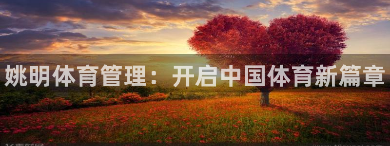 必一体育能提现大金额