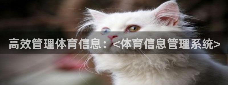 必一体育网页登陆