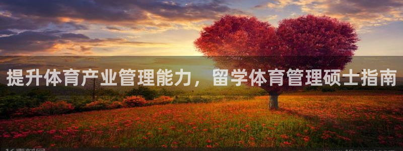 必一体育黑钱：提升体