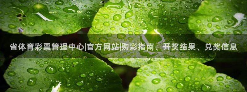必一体育bsport