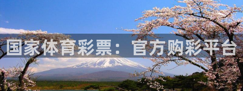 必一体育电子app