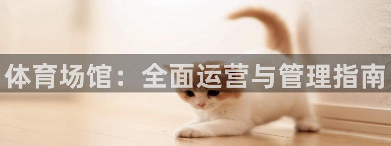 必一体育官网app：