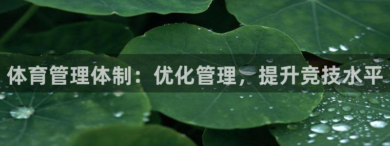 必一体育在线下载：体