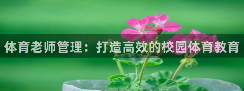 必一体育登入：体育老