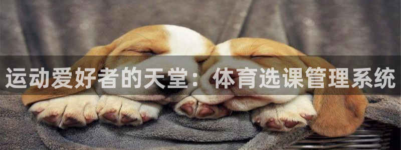 必一运动·(b-sports)官方网站