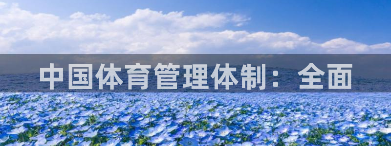 必一体育在哪下：中国