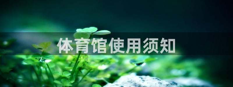 必一体育登录入口APP
