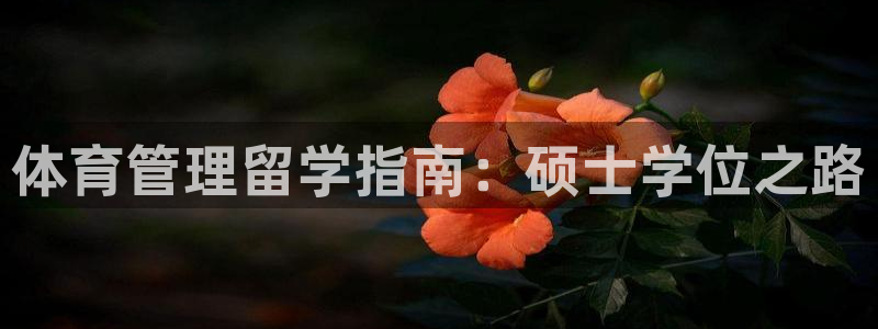 必一运动sport网页版