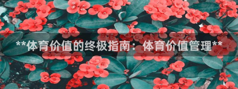 必一体育下载移动版