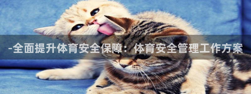 必一运动验证码：-全