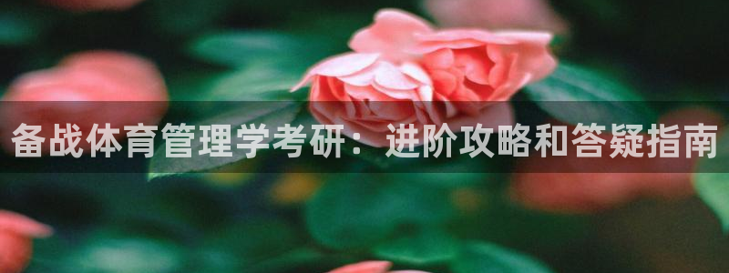 必一体育运动app下载