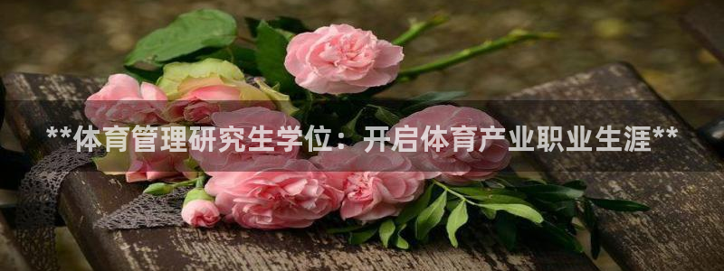 必一体育app官方下