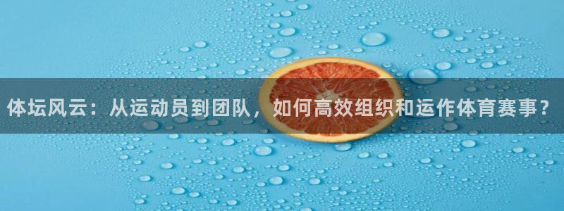 必一体育运动下载：体