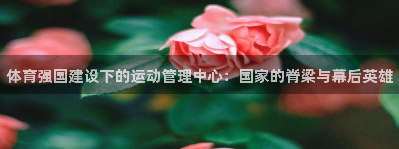 必一运动·(B-sp