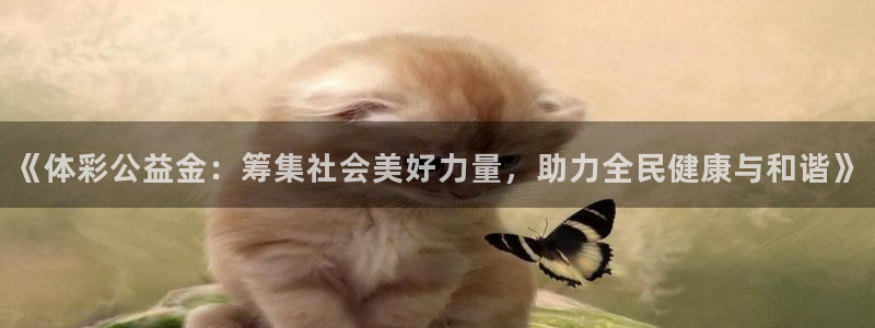 必一运动·体育：《体