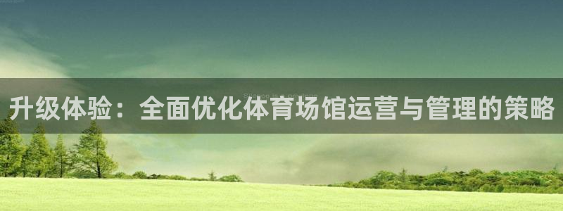 必一体育在线官网：升