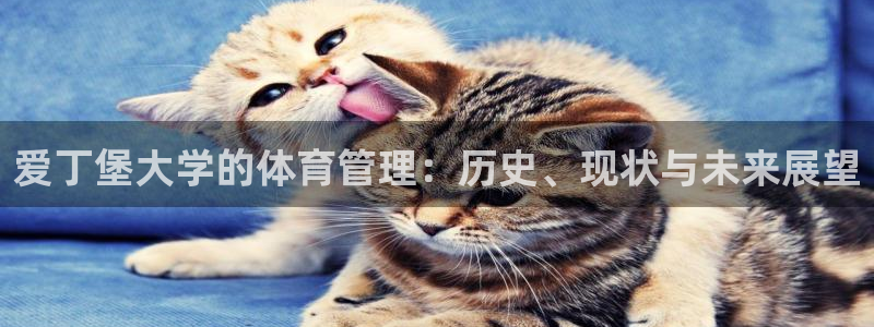 必一体育手机下载：爱