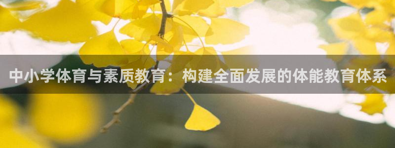 必十二和必一的副作用