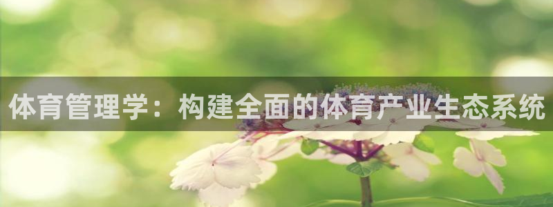 必一运动aop：体育
