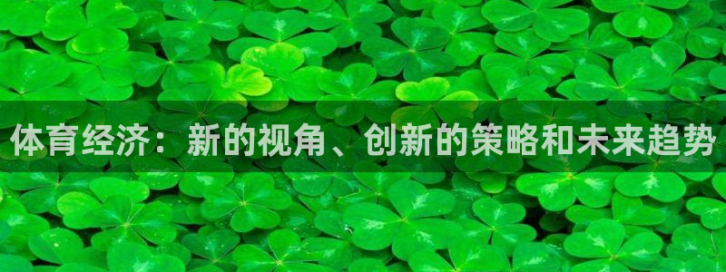 必一体育运动app下载：体育经济：新的视角、创新的策略和未来