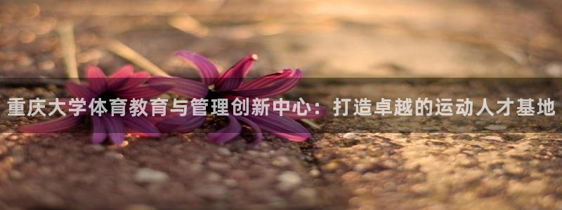 必一体育app官方下