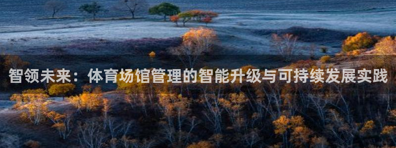 必一体育游戏玩法：智