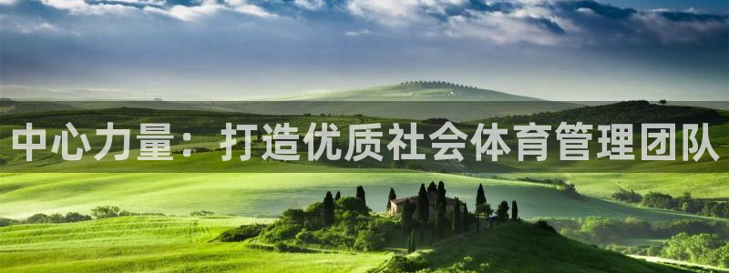 Bsport体育必一