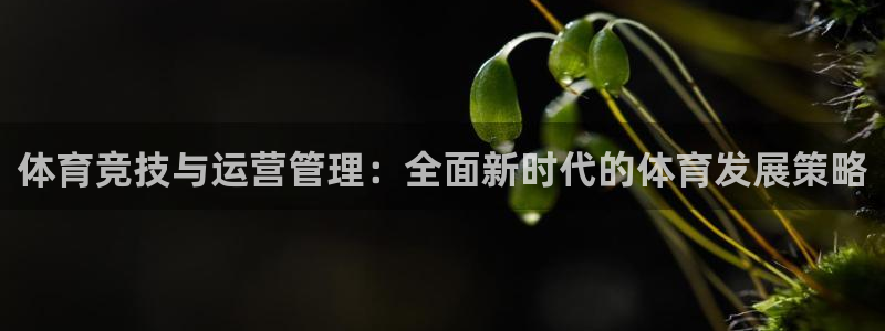 必一体育官方入口：体