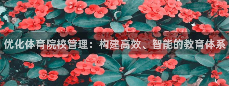 必一体育sportB