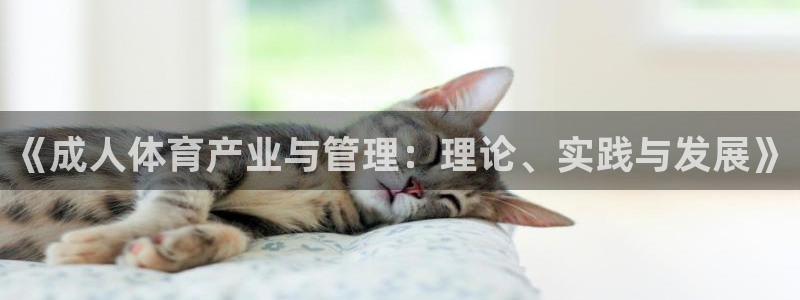 必一体育sport官