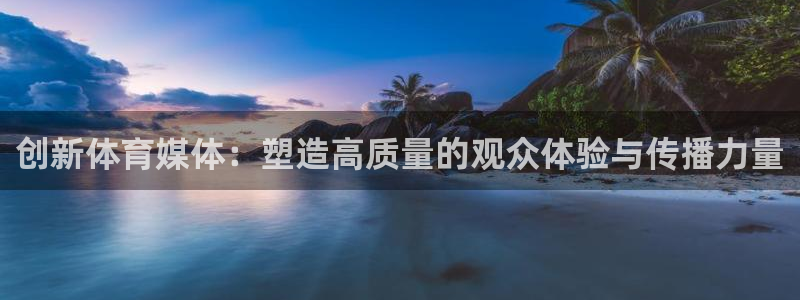 必一体育网站：创新体育媒体：塑造高质量的观众体验与传播力量