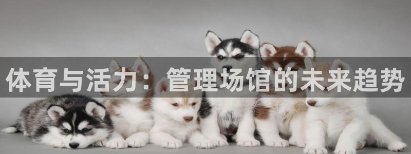 必一体育下载秀给网：体育与活力：管理场馆的未来趋势