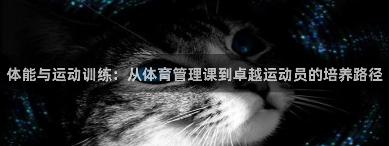 必一体育sport：