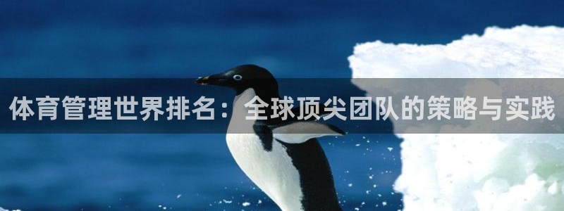 必一体育平台：体育管