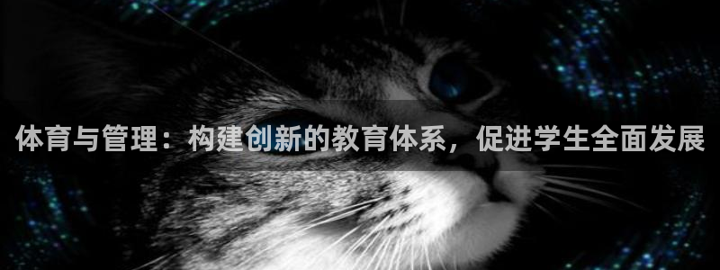 必一体育app官方网