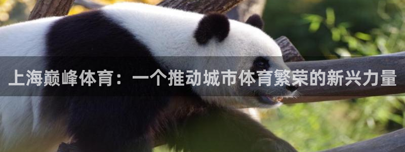必一体育app下载：