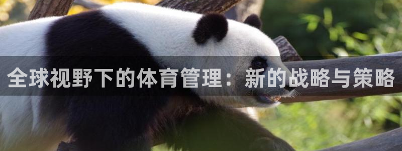 必一运动·(B-Sp