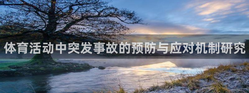必一体育bsport