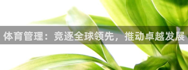 必一体育APP下载安