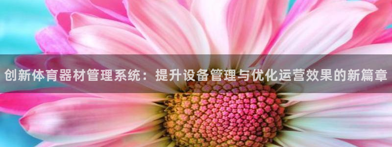 必一运动体：创新体育