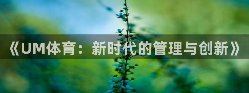 必一体育服下载最新版