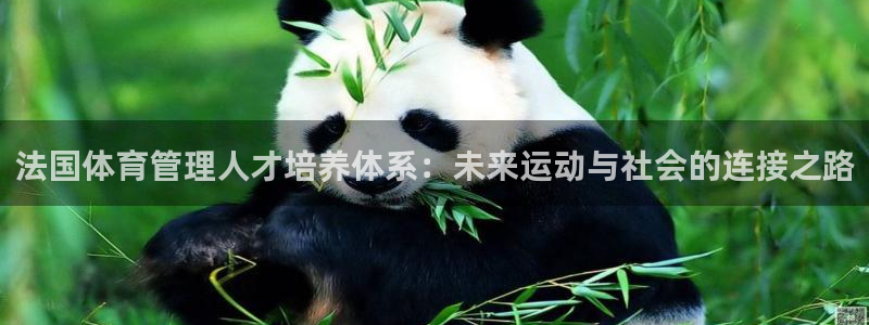 必一运动·(B-Sp