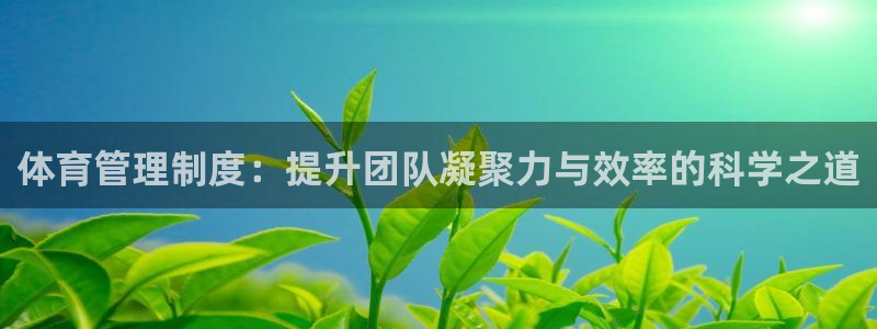 必一体育网页登陆：体