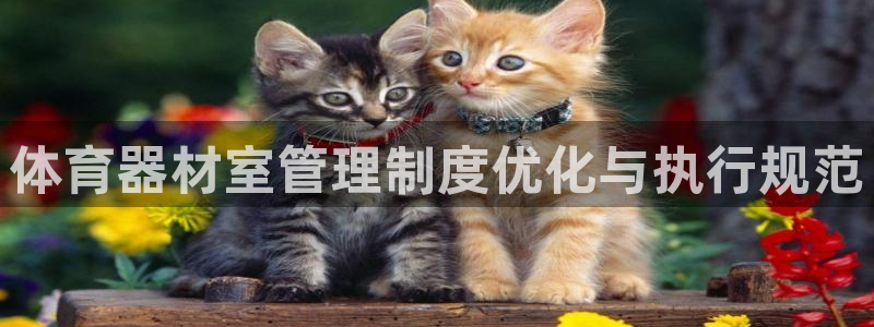 必一体育登录：体育器
