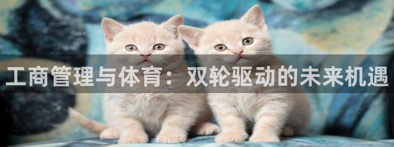 必一体育能提现大金额