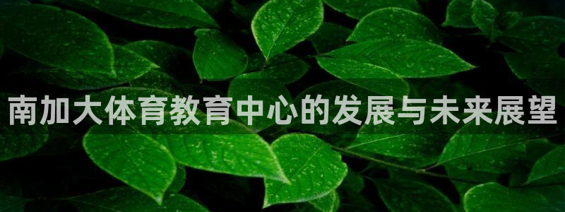 必一体育是啥：南加大