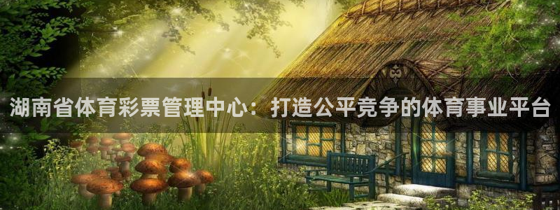 必一体育官方下载：湖