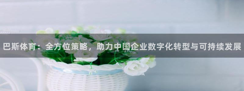 必一运动验证码：巴斯