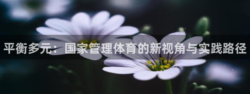 必一运动bsport